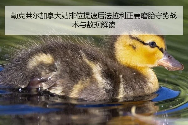 勒克莱尔加拿大站排位提速后法拉利正赛磨胎守势战术与数据解读