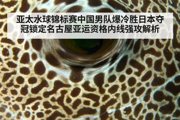 亚太水球锦标赛中国男队爆冷胜日本夺冠锁定名古屋亚运资格内线强攻解析